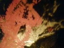 ~... Loup...ou...P...