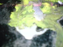 ~ graine & engrais... ~